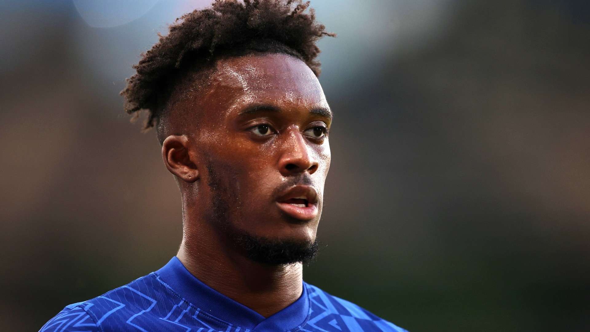 纳在夏季转 纳在夏季转