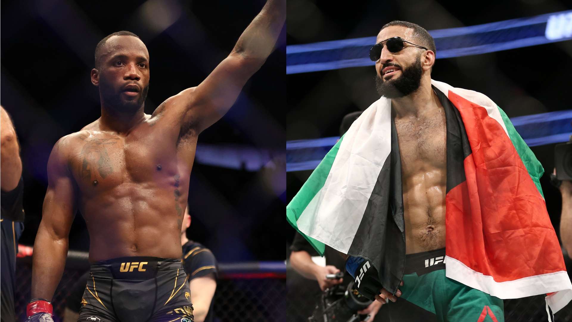 11月16日全运会金牌速览：精彩赛事盘点与亮点回顾